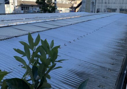 川口市マンションサイクルポート屋根貼り替え工事